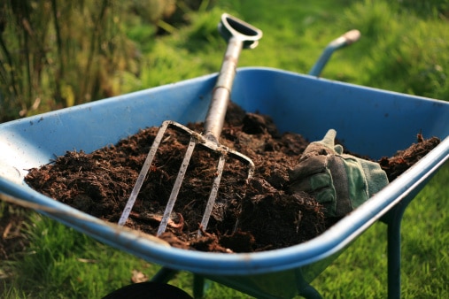 Composting Tips and Strategies