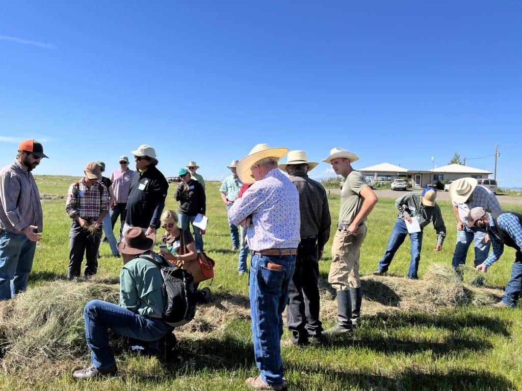 Tour attendees look at piles of hay on the field of San Juan Ranch near Saguache, Colorado.