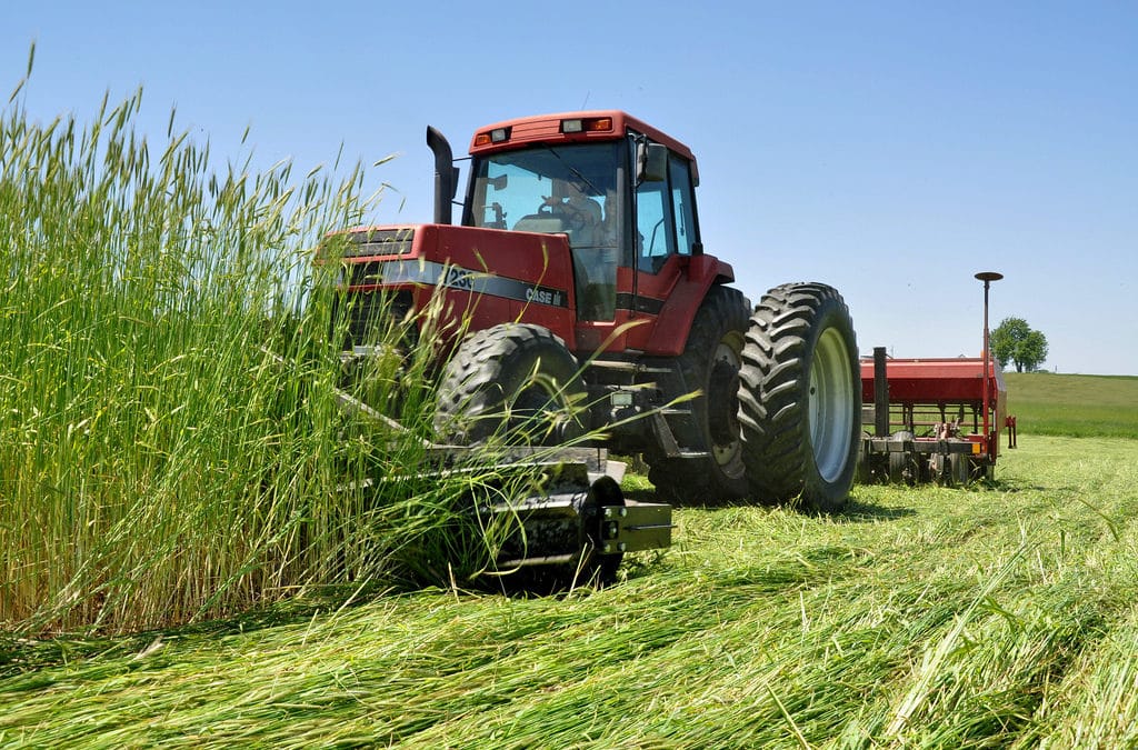 Roller/Crimper to the Rescue of No-Till of Grain Systems