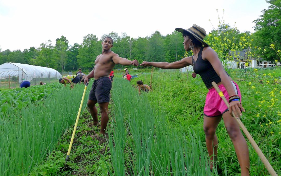 Urban Farming: Laws and Land Access