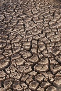 drought-stricken soil