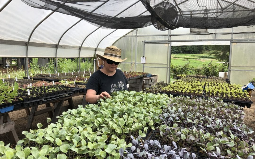 Rodale Institute Bringing Organic Farming Research to the Southeast