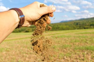 Soil fertility