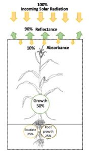 Soil Energetics Chart 1