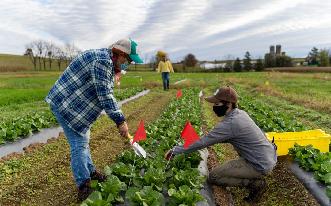 Finding the Right Resources to Transition to Organic Farming