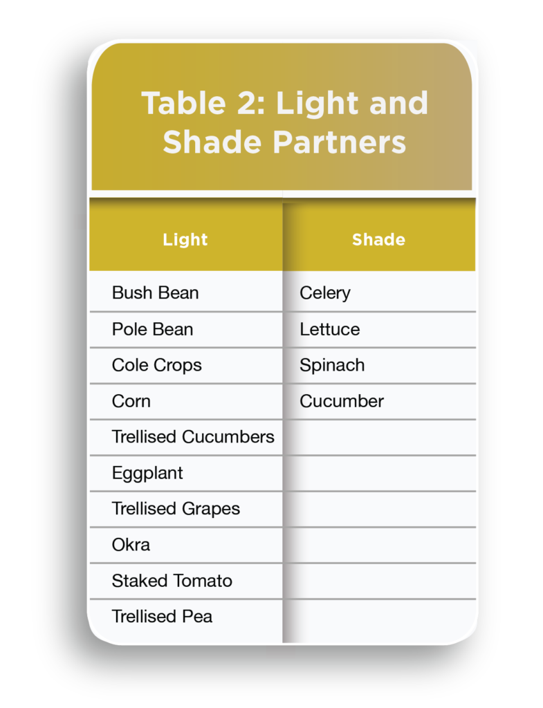 Table 2: Light and Shade Partners