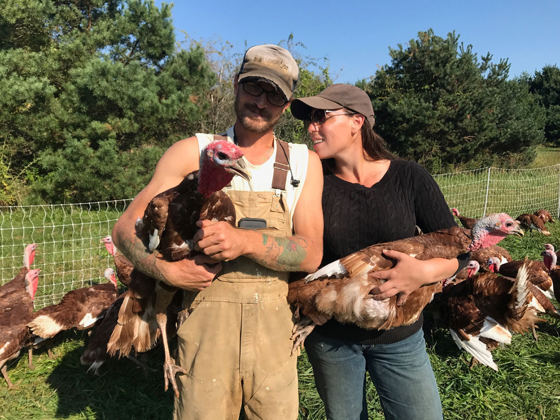 Alternative Poultry: Getting Creative | EcoFarming Daily