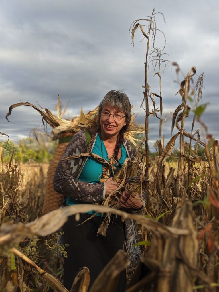 Mary Arquette harvesting Six Nations Blue Corn in the sanctuary