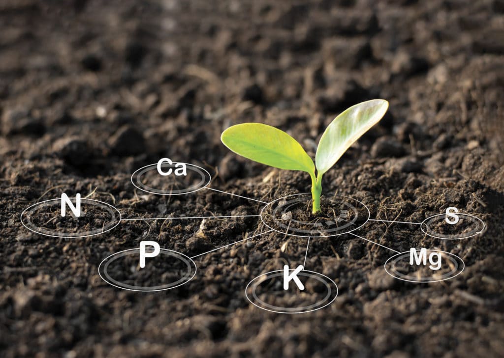 Plant growing from soil with chemicals graphic