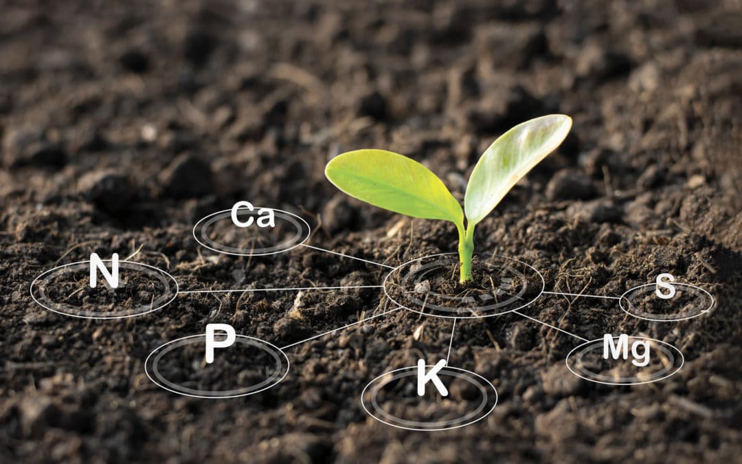 Carbon and Microorganisms Working Together