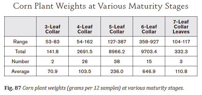 corn plant weights chart