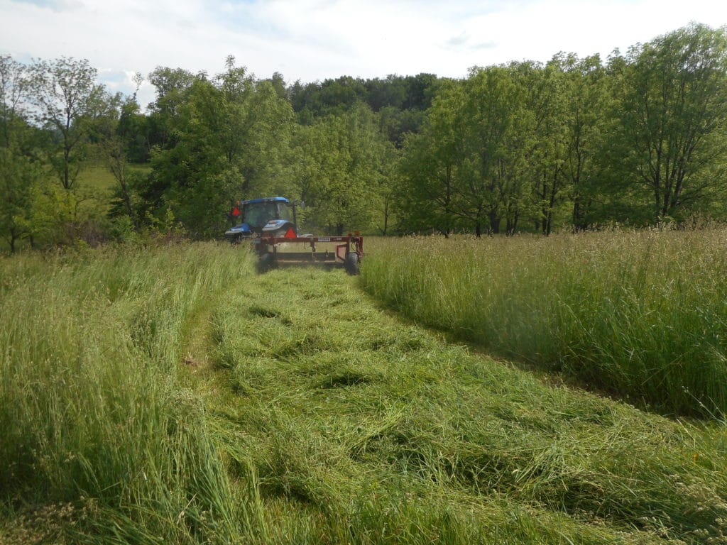 Roller in cover crop field