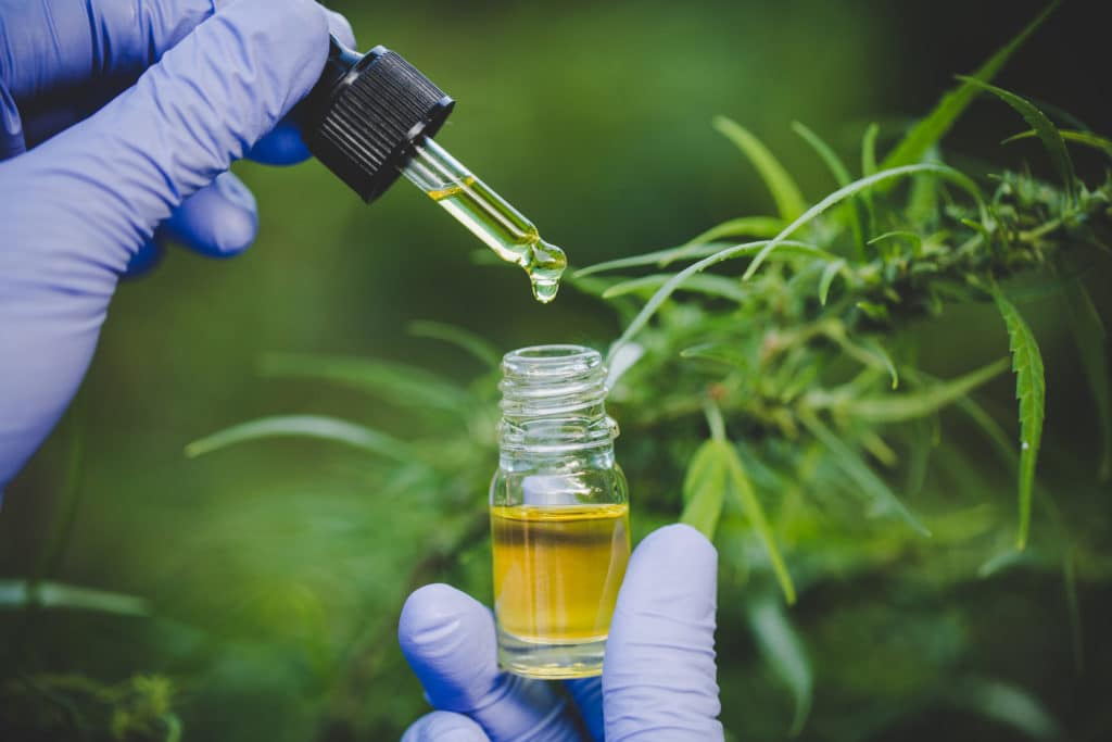 CBD oil