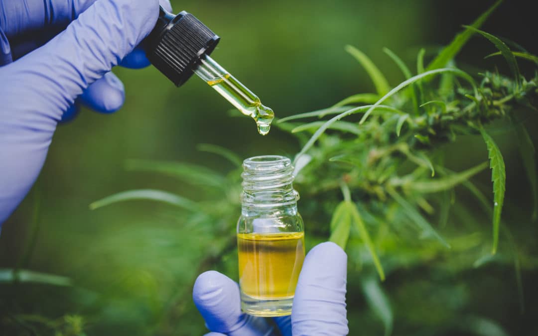 All You Need to Know About Cannabidiol (CBD)