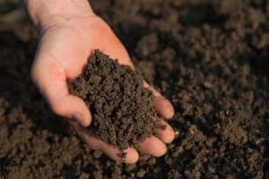 soil aggregate
