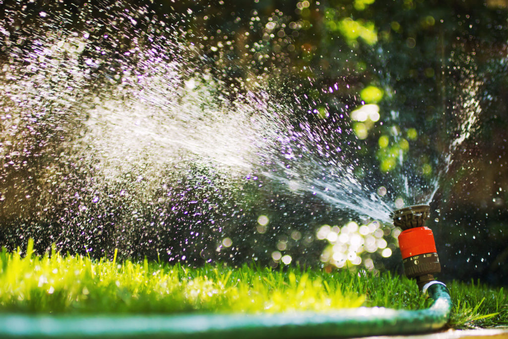 Watering grass lawn