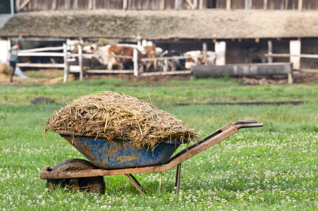 Natural Manure