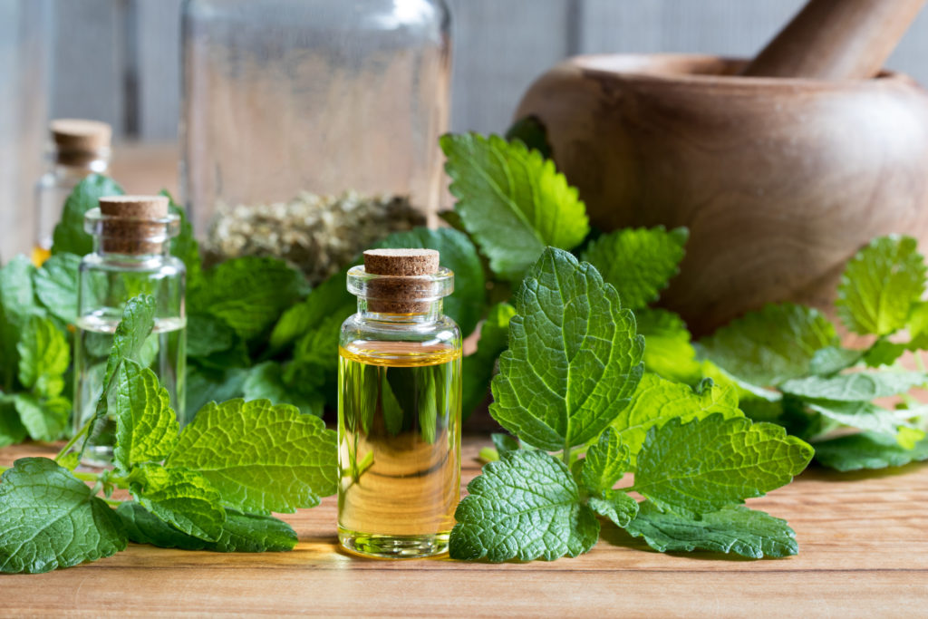 Lemon balm or Melissa Essential Oil