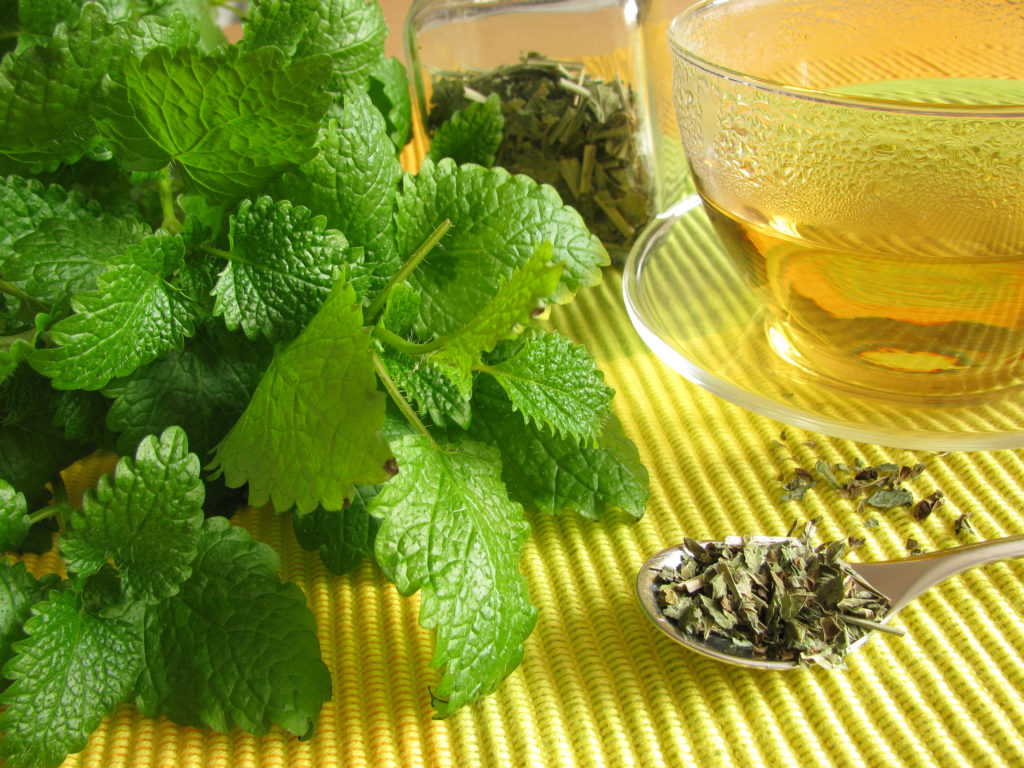 Lemon balm tea