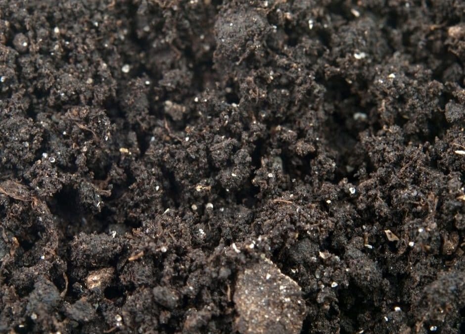 Wake Up the Microbes in Your Soil