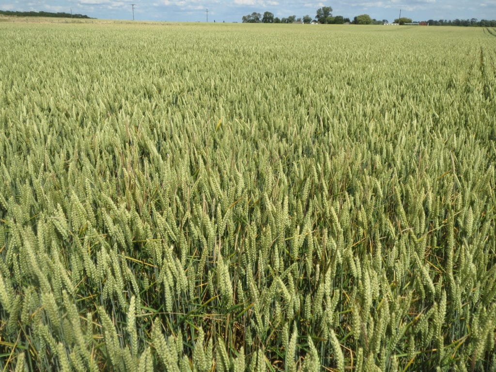 farming to improve soil health