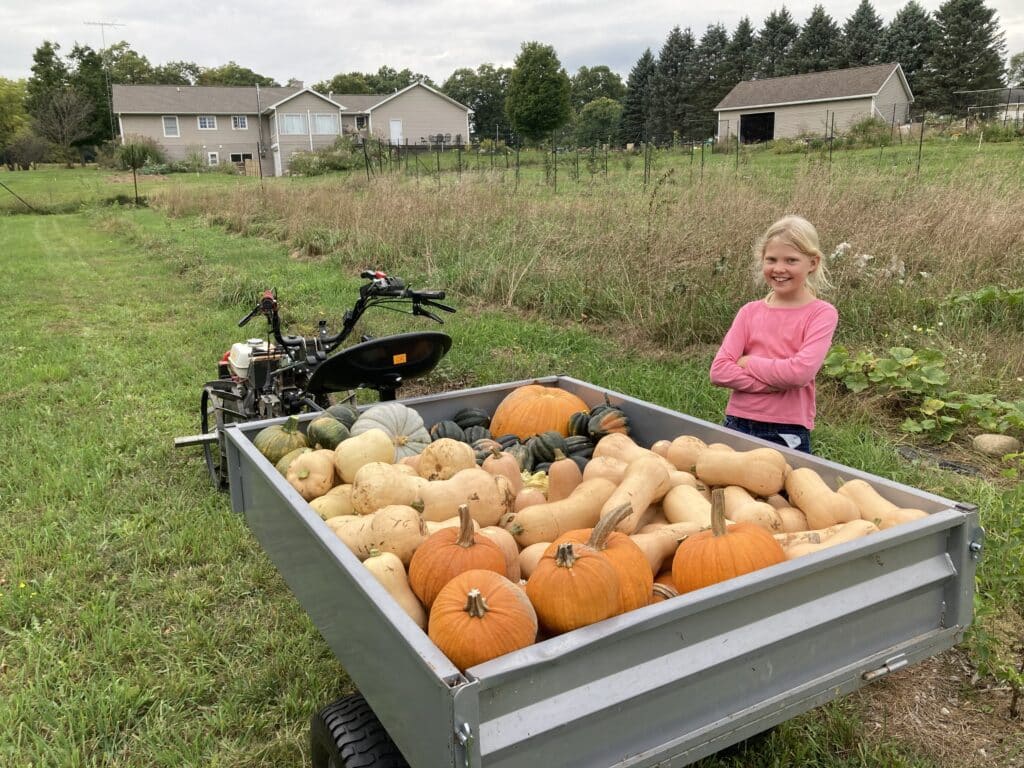 Little girl stands beside small tractor pulling pumpkins and squash