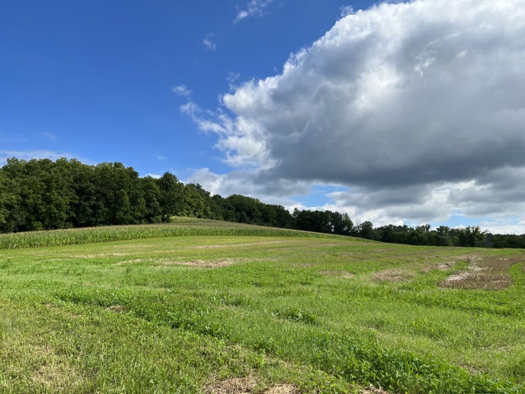 Biological farm in Wisconsin