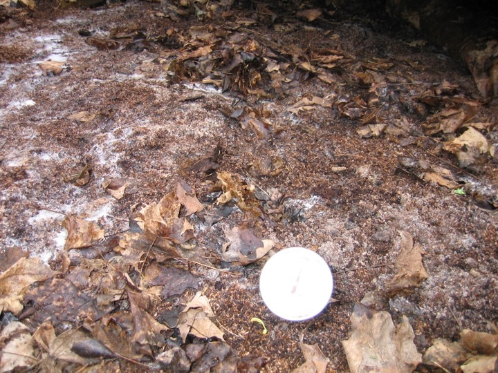 soil and bran pile