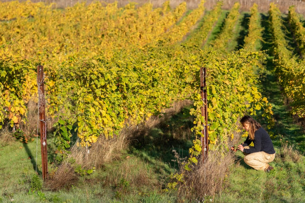 Mimi Casteel kneels beside rows of vines at Hope Well Vineyard in Oregon