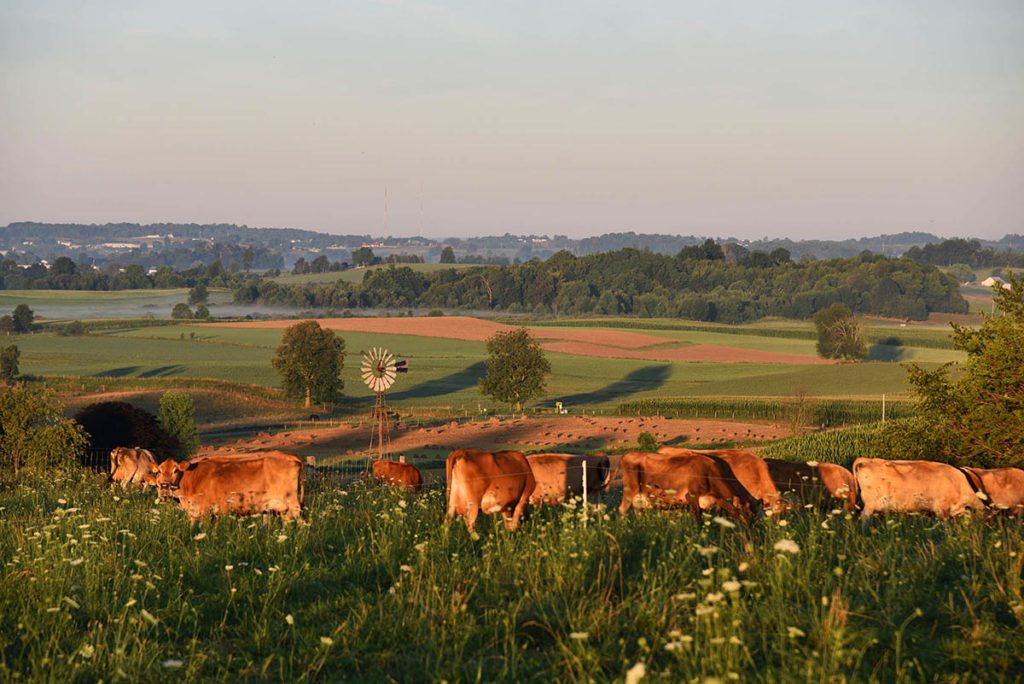 dairy processing facility