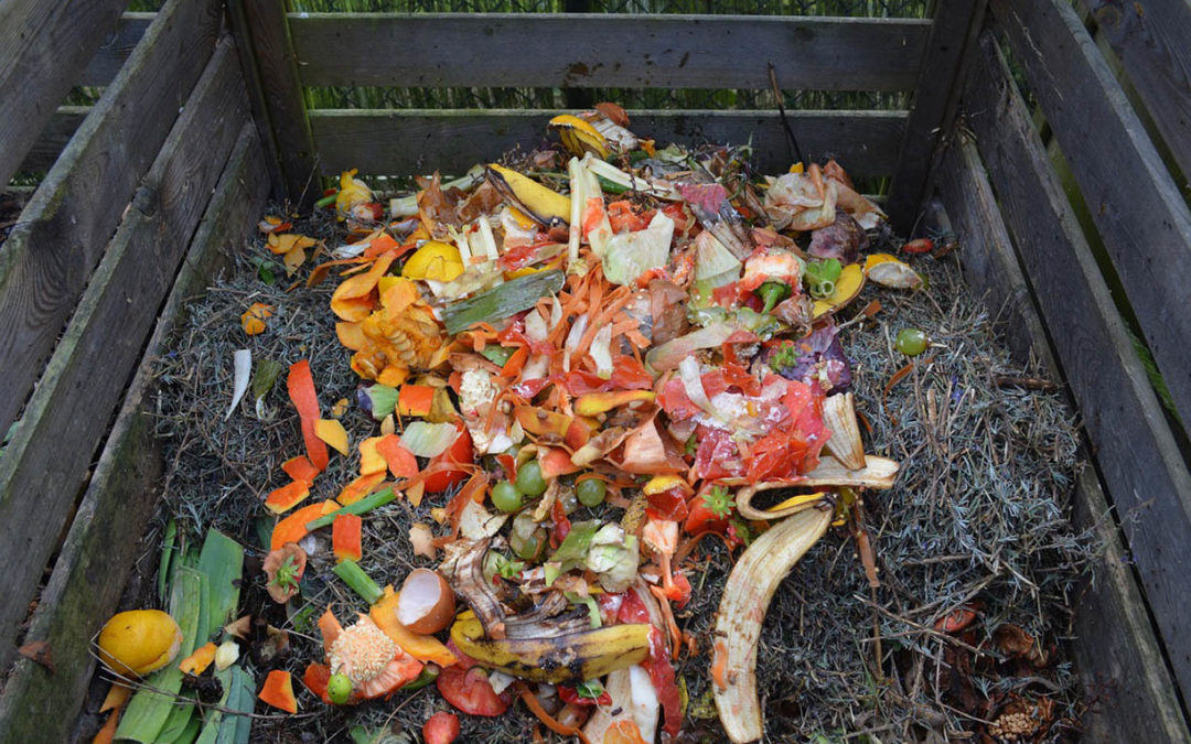 Reducing Food Waste: Compost Production Recovers Nutrients for Soil Benefits
