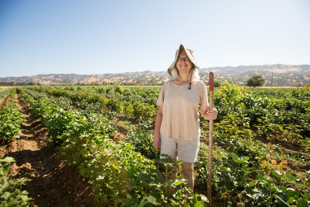 organic cotton farming in California