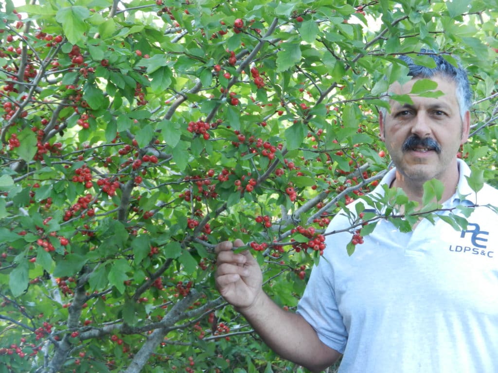 Johnny Smith with a mayhaw tree