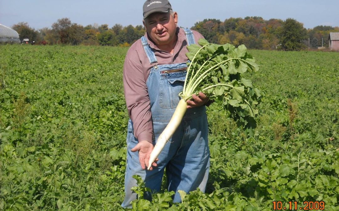 Cover Crops Make Farming Fun Again