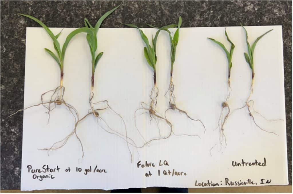 six plants including their roots laid next to each other on a white background for comparison