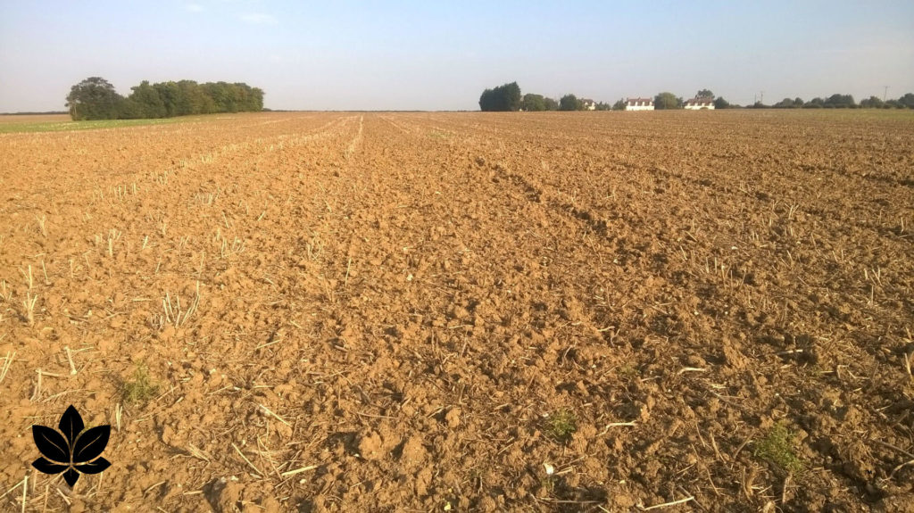 ploughed field