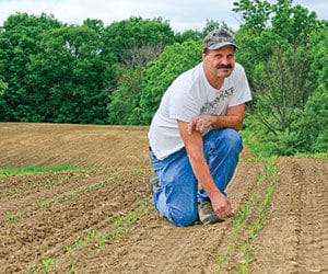 Soil pH: Making Adjustments to Boost Fertility
