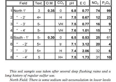 Chart of salt soil test examples