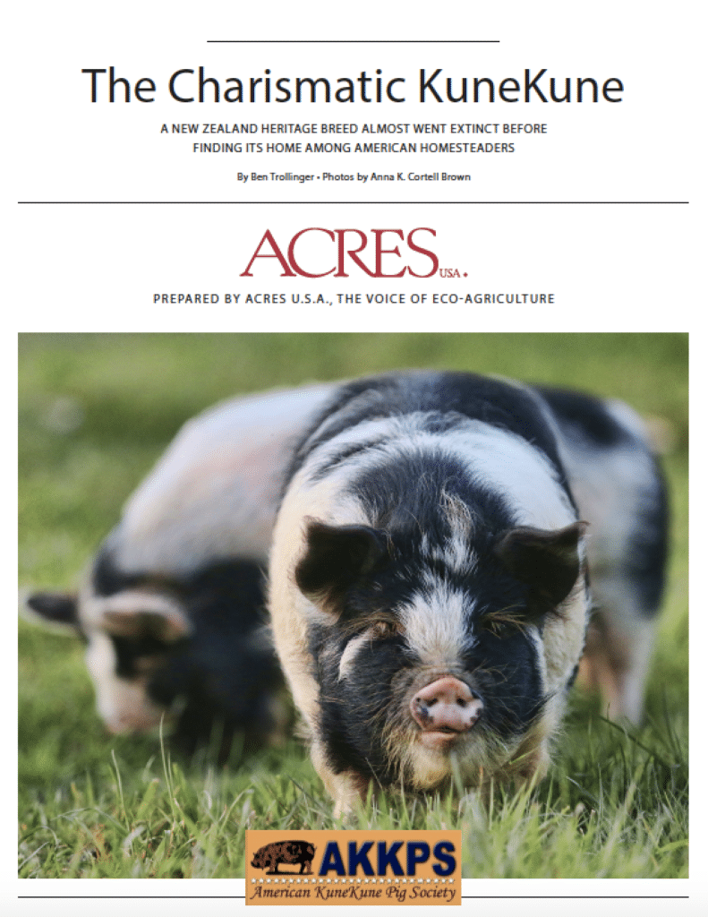 The Charismatic KuneKune whitepaper download cover