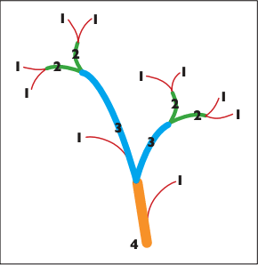 Horton-Strahler stream order classification system