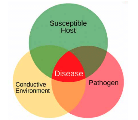 Deconstructing Disease in Plant Pathology