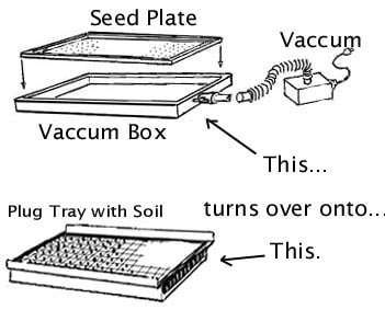 A seeder setup in a plug tray.