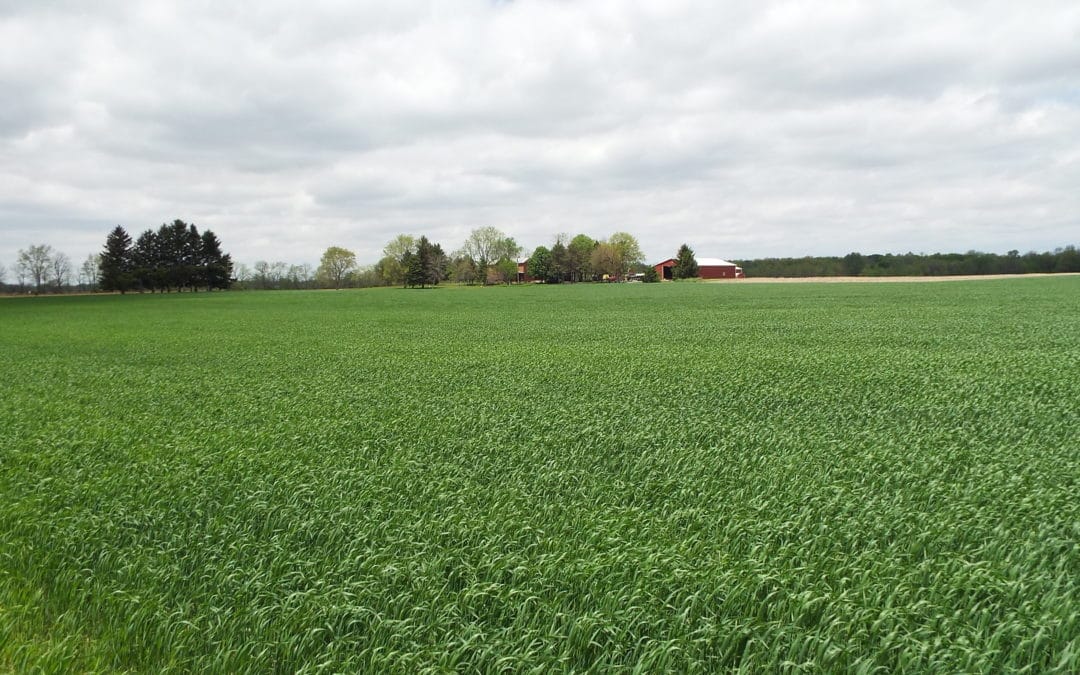 Reducing greenhouse gases through soil stewardship