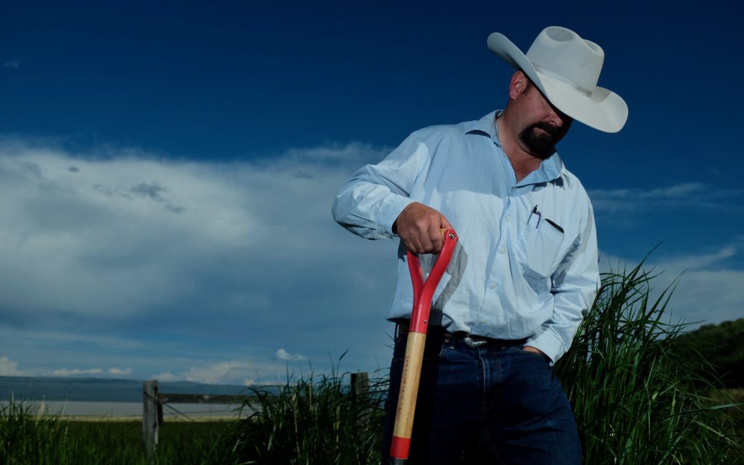 Soil Fertility, Biodiversity and the Gut Microbiome