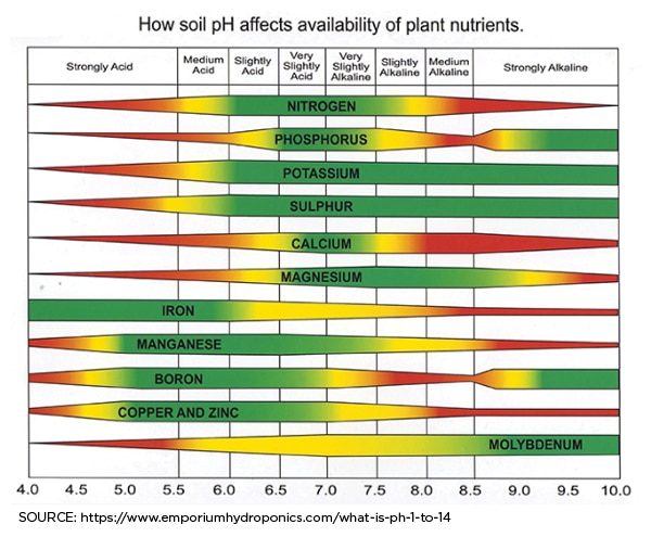 Figure 1: Chart displaying nutrient availability dependent on soil pH.