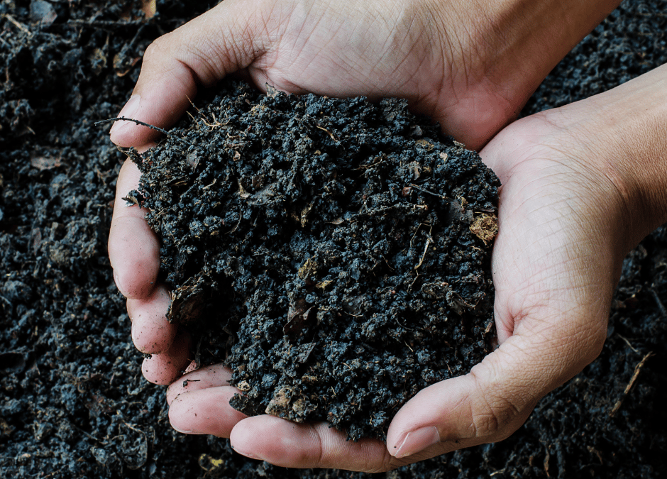 What Is Healthy Soil, and How Can Terra Preta Contribute to It?