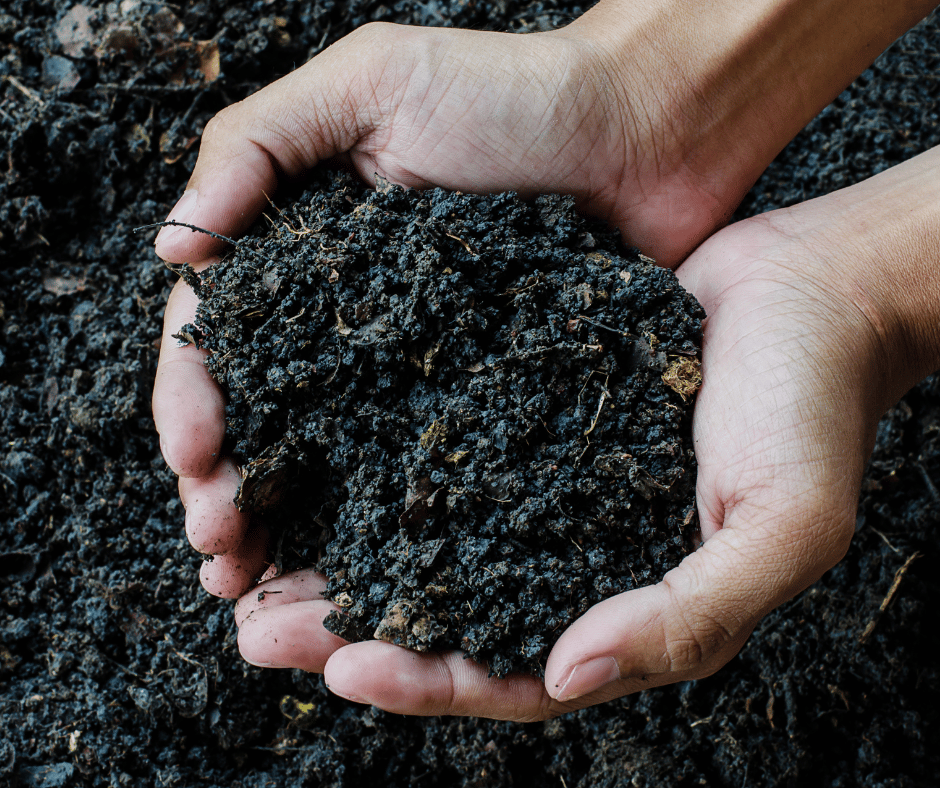 two hands holding dark soil