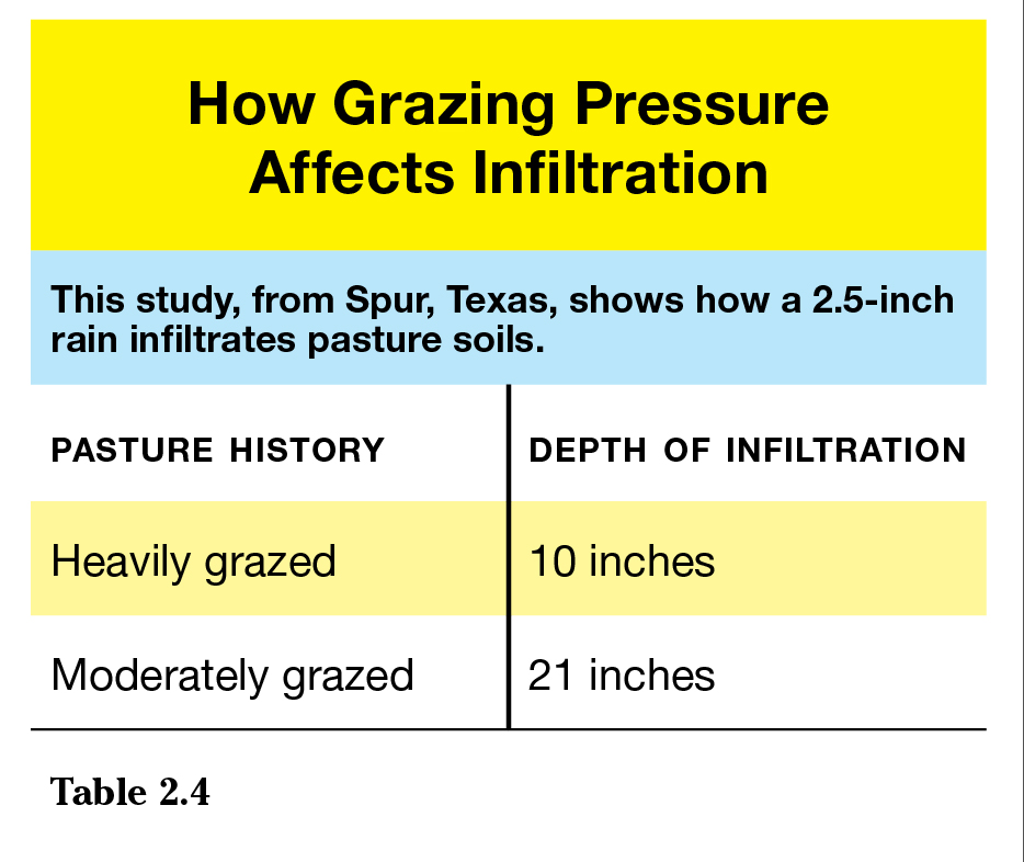 How grazing pressure affects infiltration of pasture soil chart