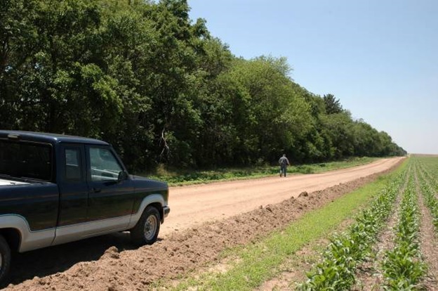 Windbreak Benefits on the Farm