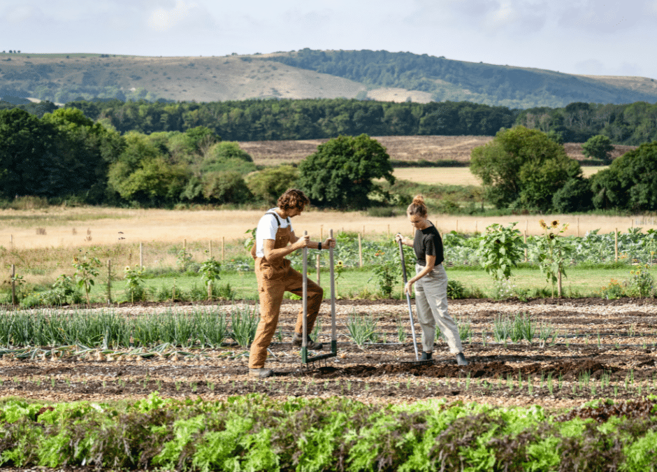 Working the Soil in a Biologically Friendly Manner